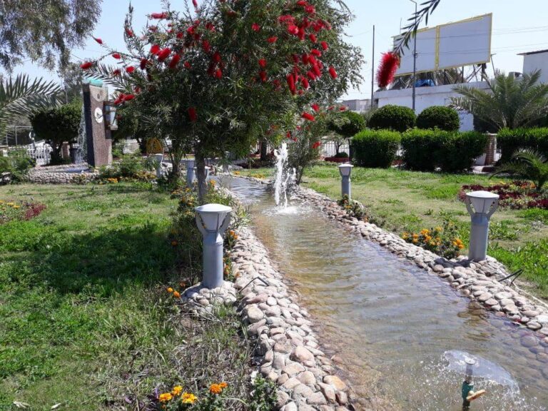 القسم الترفيهي